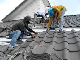 Best Roof Maintenance and Cleaning  in Arlington, TX